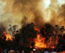 Green body raises concern over forest fires in Western Ghats